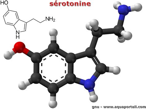 sérotonine def